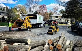 Best Pest Control for Lawns  in Sylvester, GA